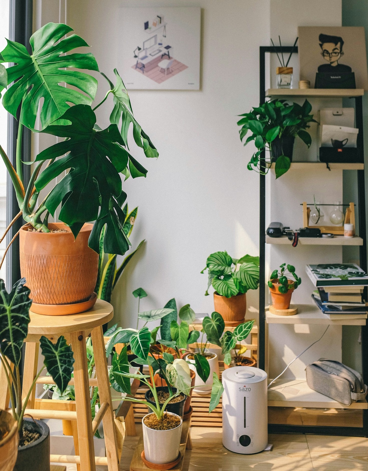 Hoe maak je een succesvolle moestuin?